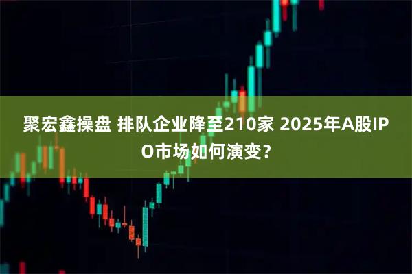 聚宏鑫操盘 排队企业降至210家 2025年A股IPO市场如何演变？