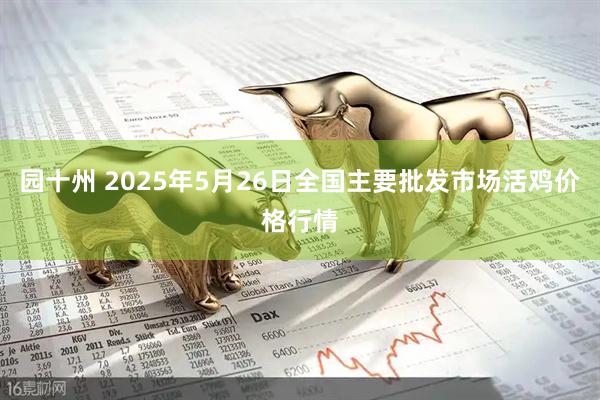园十州 2025年5月26日全国主要批发市场活鸡价格行情