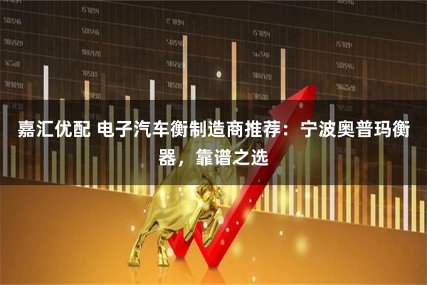 嘉汇优配 电子汽车衡制造商推荐：宁波奥普玛衡器，靠谱之选