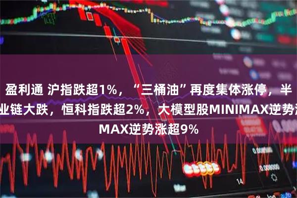 盈利通 沪指跌超1%，“三桶油”再度集体涨停，半导体产业链大跌，恒科指跌超2%，大模型股MINIMAX逆势涨超9%