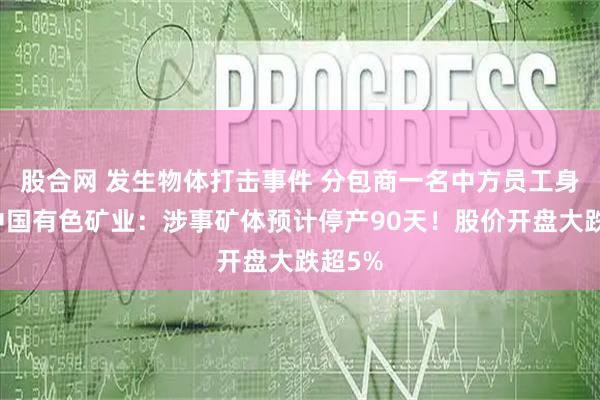 股合网 发生物体打击事件 分包商一名中方员工身亡！中国有色矿业：涉事矿体预计停产90天！股价开盘大跌超5%