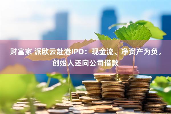 财富家 派欧云赴港IPO：现金流、净资产为负，创始人还向公司借款