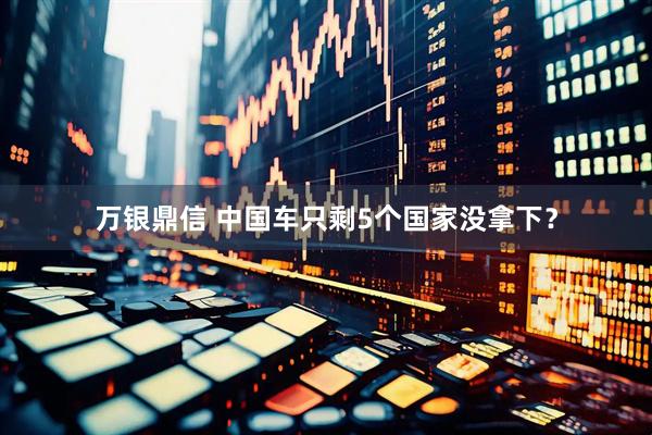 万银鼎信 中国车只剩5个国家没拿下？