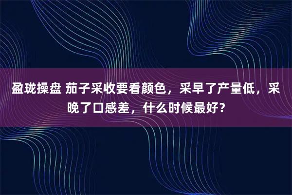 盈珑操盘 茄子采收要看颜色，采早了产量低，采晚了口感差，什么时候最好？